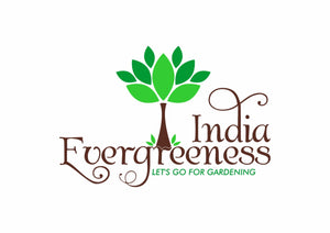 EVERGREENESS INDIA