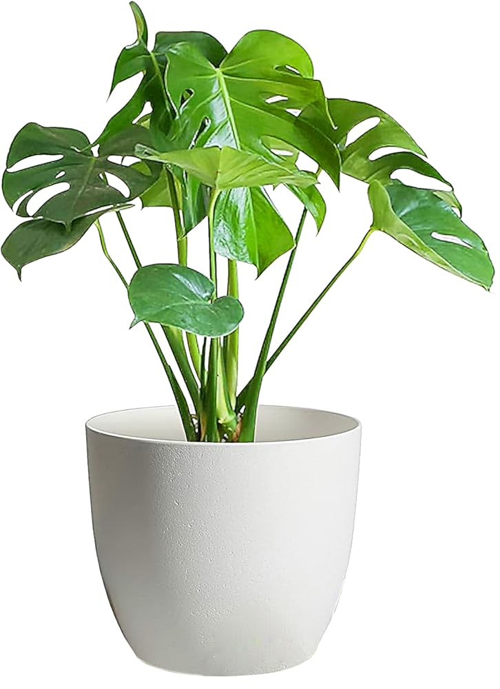 Evergreeness India Glossy White Plastic Fiber Planters, Modern Plant Pot For Home & Garden makeover, 5