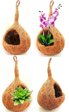 Evergreeness India Coco Fiber and Shell Hanging Planter for Orchids air Succulent Plants Indoor - Pack of 4