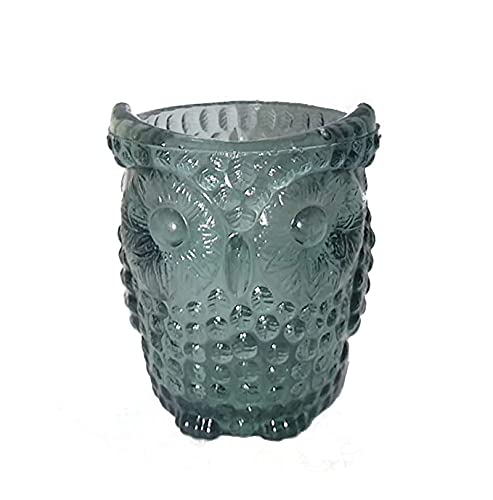 Evergreeness India Glass Owl Planter (Without Drainage Hole) for Multiple Usage Like Candle Holder/Brush Holder/Pot/Planter for hrdroponic Plants, Tinted Grey with The Size of 4x3.5x3.5 inches