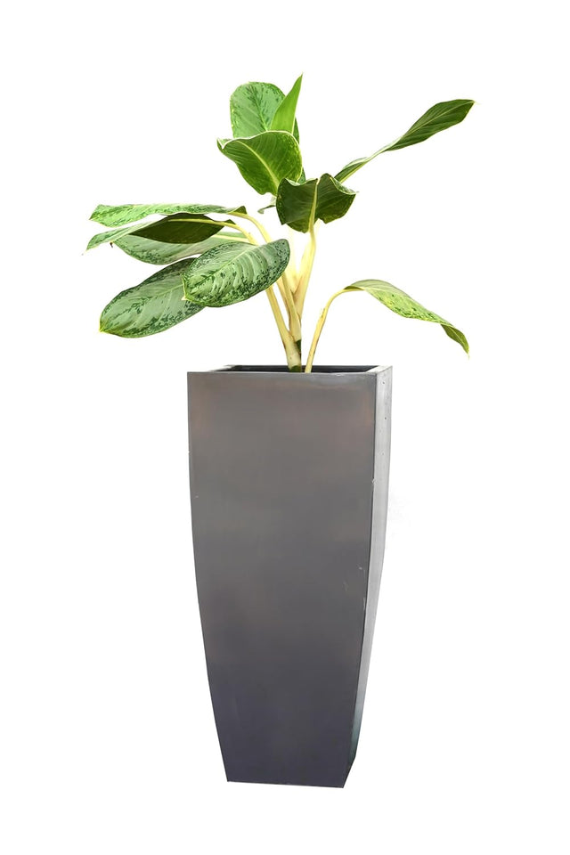 Evergreeness India FRP Flower Pot Wood Finish Grey Colour 3.8 KG for Home Planters, Terrace, Garden Etc | Suitable for Home Indoor & Outdoor Gardening Plants