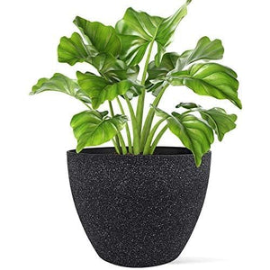 Evergreeness India FERN (Pack of 1 New Imported Fiber Planters for Indoor and Outdoor Decor, Unbreakable Planters for Home/Office (D- 29 CM) GA-38C-038