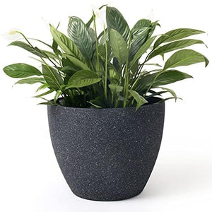 Evergreeness India FERN (Set of 3 New Imported Fiber Planters for Indoor and Outdoor Decor, Unbreakable Planters for Home/Office GA-40C-038