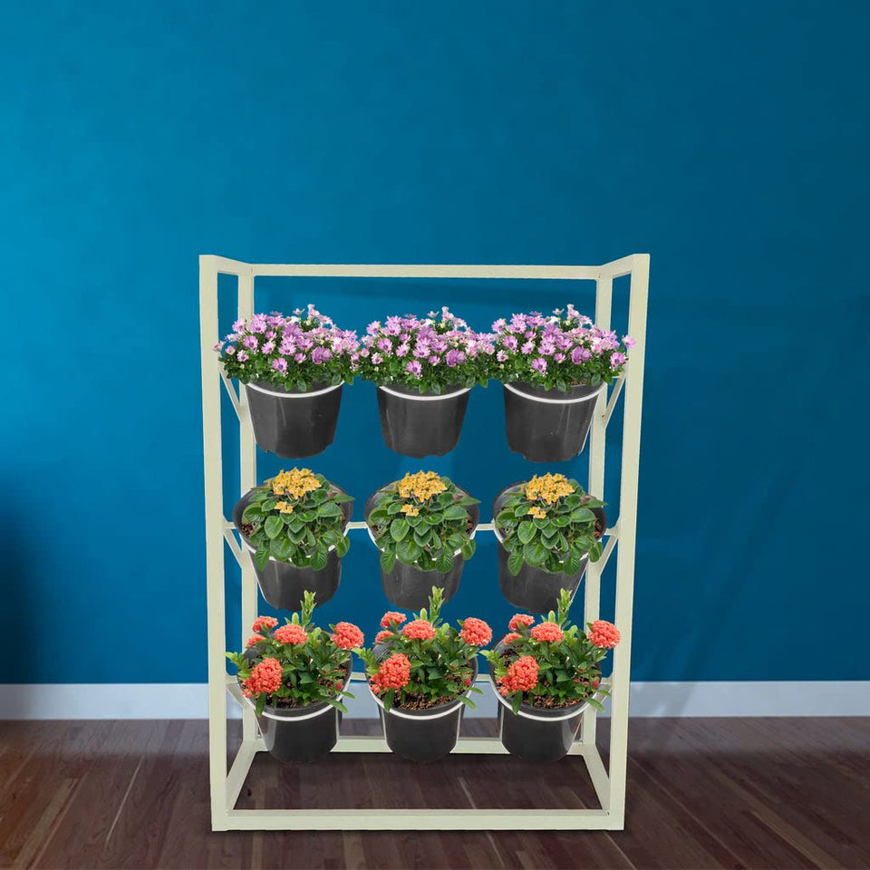 Evergreeness India Vertical Stand with Pots