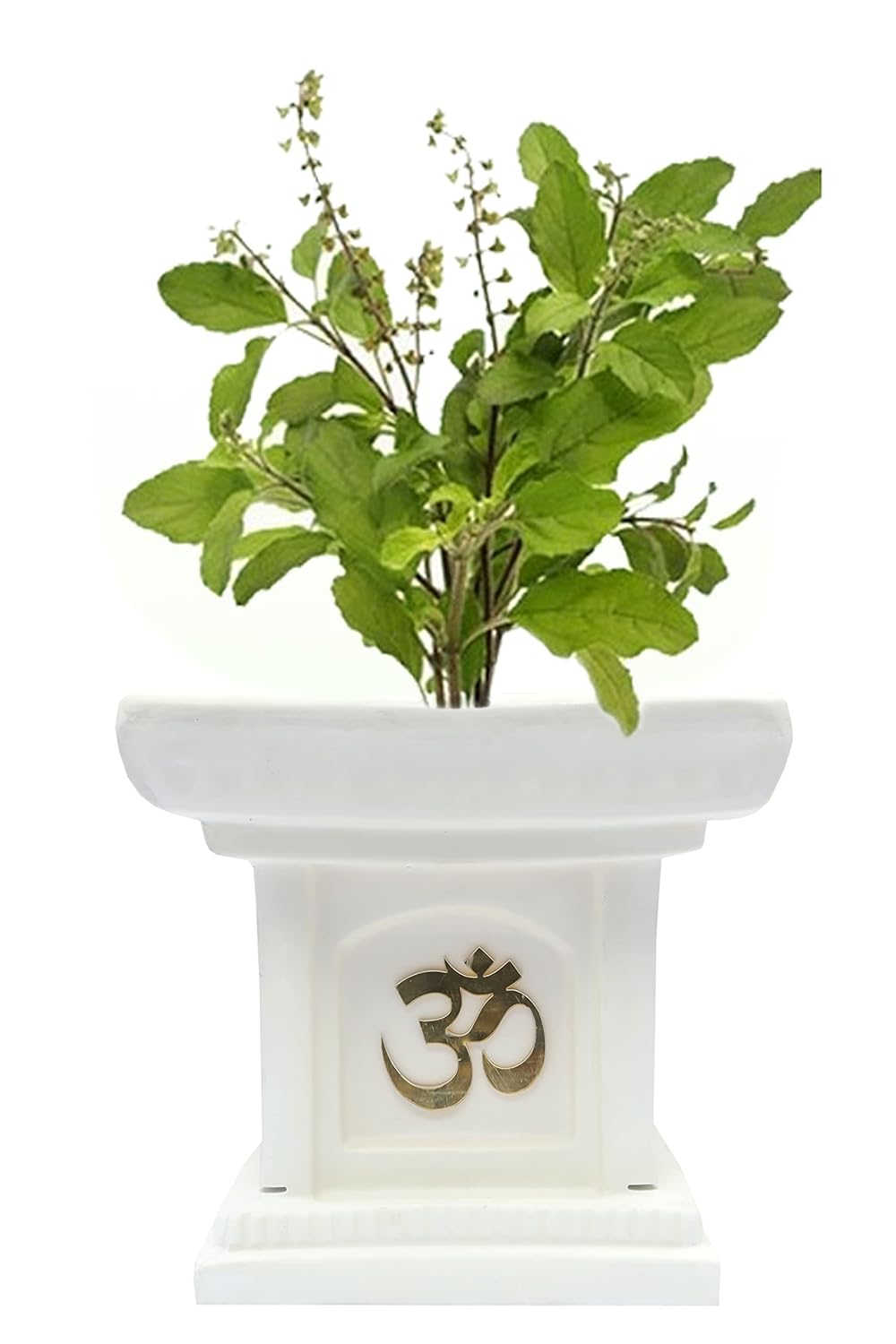 Evergreeness India Global Trade & Utility Products Tulsi Planter Marble Look Size: Size: Height: 10 inch, Width: 10 inch, Length: 10 inch