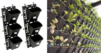 Evergreeness India AGRO INDIA PRIVATE LIMITED Bio Green Wall Vertical Garden Planters - Black - Pack of 4 Panel and 12 Pots