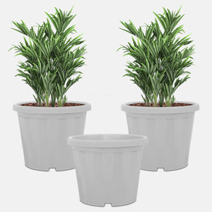 Evergreeness India Shera Pots For Plants Highly Durable Fiberstone Lightweight Indoor Outdoor Plant Pots,Flower Potgamla Tree Planter Container Planters For Living Room,Balcony,Garden,Home,Office,White