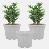 Evergreeness India Shera Pots For Plants Highly Durable Fiberstone Lightweight Indoor Outdoor Plant Pots,Flower Potgamla Tree Planter Container Planters For Living Room,Balcony,Garden,Home,Office,White