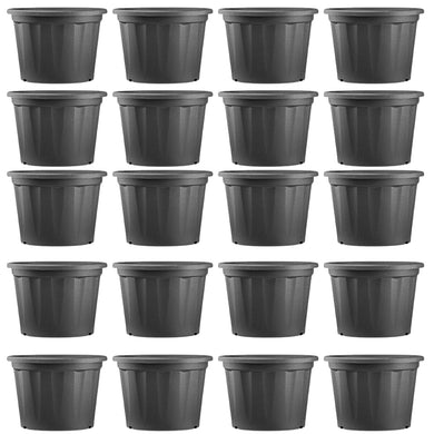 Evergreeness India Plant |Planting Containers Plastic Cone Pots | Natural Live Indoor Plant | Decorative Plastic Pots | for All House Plants(Black,5Inch,Pack of 20)