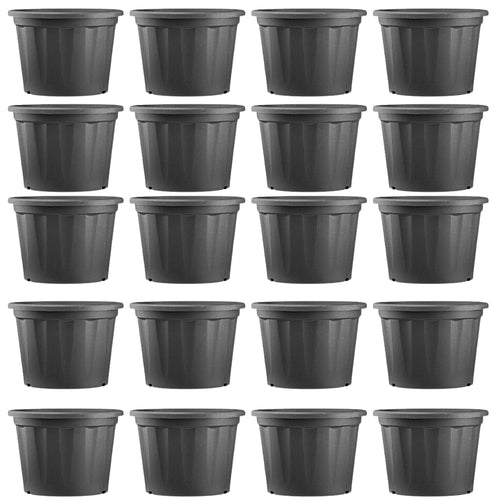 Evergreeness India Plant |Planting Containers Plastic Cone Pots | Natural Live Indoor Plant | Decorative Plastic Pots | for All House Plants(Black,5Inch,Pack of 20)