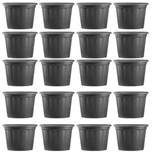 Evergreeness India Plant |Planting Containers Plastic Cone Pots | Natural Live Indoor Plant | Decorative Plastic Pots | for All House Plants(Black,5Inch,Pack of 20)