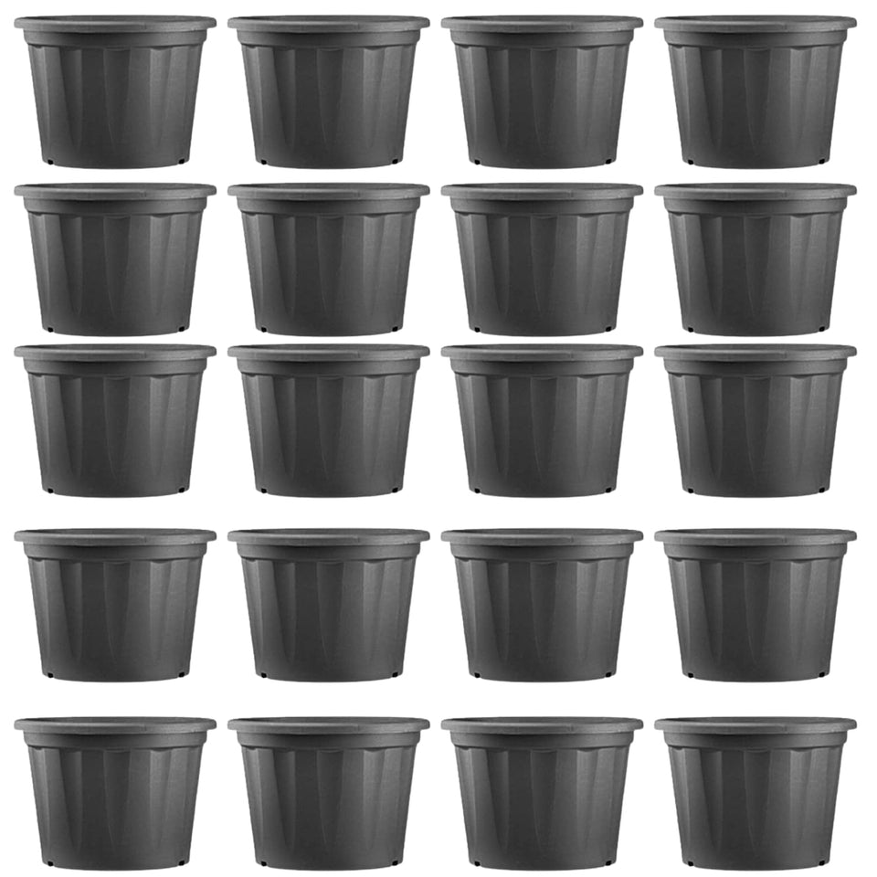 Evergreeness India Plant |Planting Containers Plastic Cone Pots | Natural Live Indoor Plant | Decorative Plastic Pots | for All House Plants(Black,5Inch,Pack of 20)