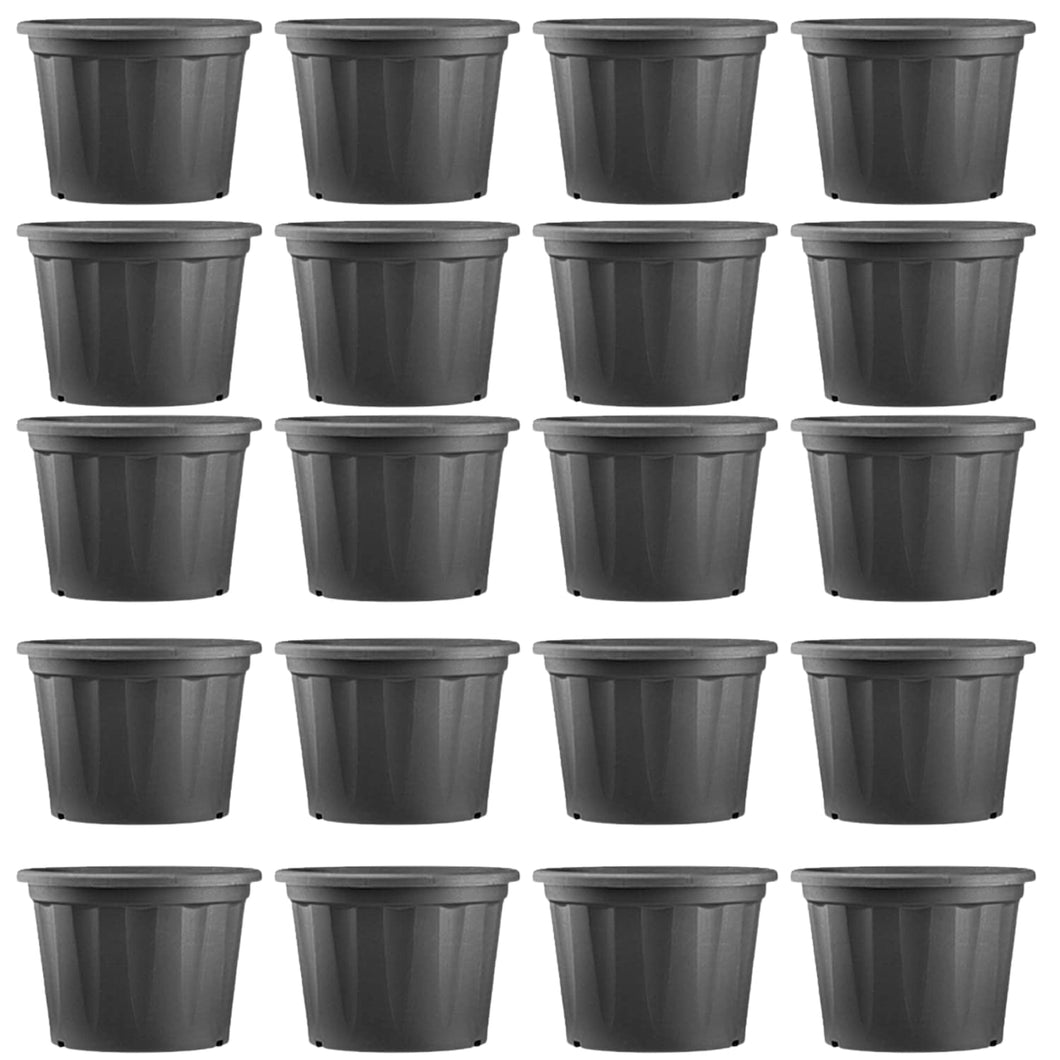 Evergreeness India Plant |Planting Containers Plastic Cone Pots | Natural Live Indoor Plant | Decorative Plastic Pots | for All House Plants(Black,5Inch,Pack of 20)