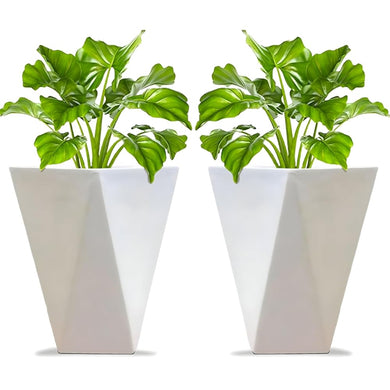 Evergreeness India Diamond Shape Planter for Outdoor Indoor and Living Room Gardening Big Size Plant Container Pack of 2 White 14 Inches