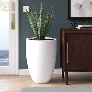 Evergreeness India & Utility Products Fibreglass Garden Big Size Gamla Gardenix Decor Planter Suitable for Indoor Outdoor and Gardening, Size:- Height: 18 Inch, Width: 13 Inch, Length: 18 Inch, White