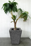 Evergreeness India Grey Finish Planter (08 * 08 * 12) inch