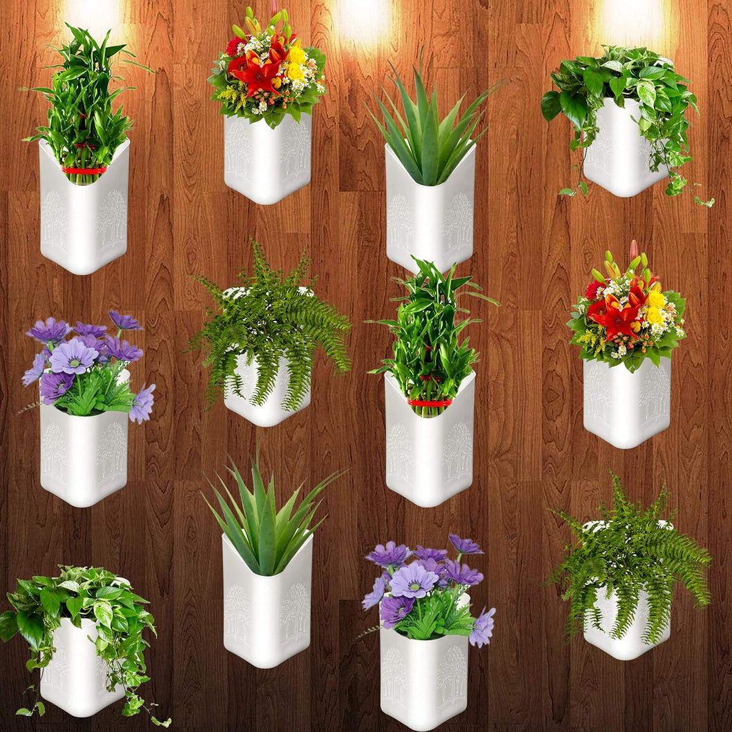 Evergreeness India Hanging Flower Pots for Home and Garden Decoration - Front H- 4