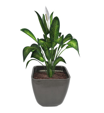 Evergreeness India & Utility Products Fibreglass FRP Big Size Planter Tall Gamla for Living Room Indoor Outdoor Balcony and Gardening, Size:- H:12 Inch, W:12 Inch, L:12 Inch, Pack of: 1 Planter