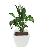 Evergreeness India & Utility Products Fibreglass FRP Big Size Planter Tall Gamla for Living Room Indoor Outdoor Balcony and Gardening, Size:- Height:12 Inch, Width:12 Inch, Length:12 Inch, White