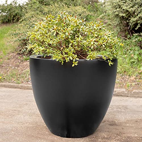 Evergreeness India Global Trade & Utility Products Fiber Reinforced Plastic Planter Pot, Gamla Charcoal Gray, Height: 12 inch, Width:15 inch, 1 Pcs