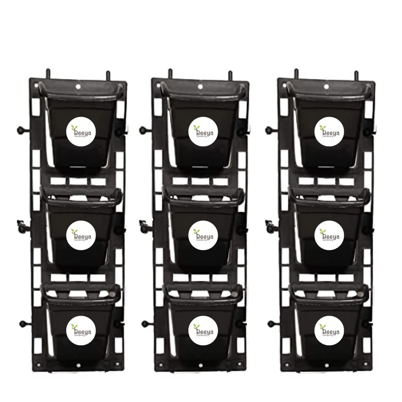 Evergreeness India Vertical Garden Frames & Pots | 3 Frame with 9 Pot | Black , Standard