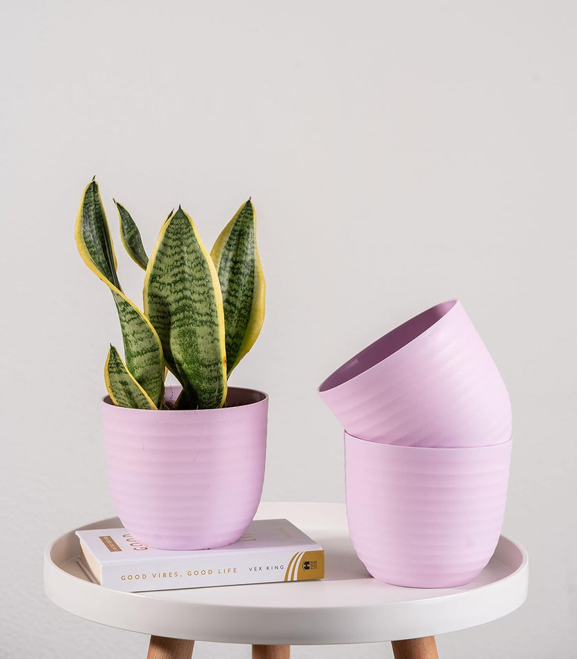 Evergreeness India Combo of 3 Pink Premium 'Wave' Plastic Planters with Matte Finish for Home & Garden Decor (Plants Not Included) (5 Inch Wide*5.5 Inch High)