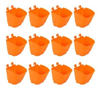 Evergreeness India Vertical Garden - Wall Hanging Pot (5 Inch, 12 Pots, Orange)