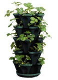 Evergreeness India 1305-HG 5-Tier Stackable Strawberry, Herb, Flower, Vegetable Planter - Vertical Gardening Indoor/Outdoor Stacking Garden Pots