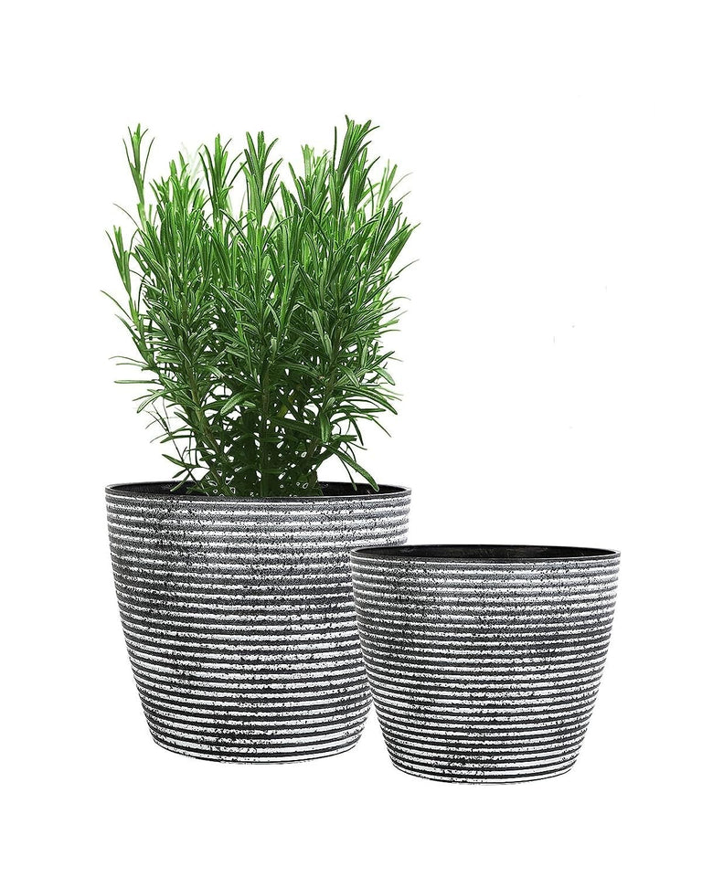 Evergreeness India (Pack of 1 Fiber Pot Outdoor,Indoor Decor,Plants Pots for Your Home,Unbreakable,Durable, Kitchen Planters GA-01C-008 (Rock Gray D-20.5)