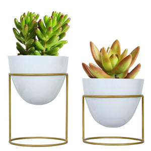 Evergreeness India inches Alle Metal Plant Pot with Stand, Pack of 2 | White Decorative Modern Indoor Planter, Office Desk Pot with Gold Metal Stand for Herbs Orchids Cacti Succulents