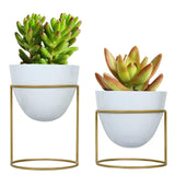 Evergreeness India inches Alle Metal Plant Pot with Stand, Pack of 2 | White Decorative Modern Indoor Planter, Office Desk Pot with Gold Metal Stand for Herbs Orchids Cacti Succulents