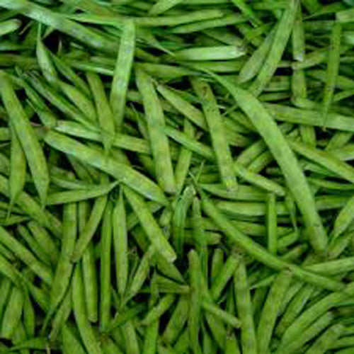 Cluster Bean - Guwar Fali Vegetable Seeds