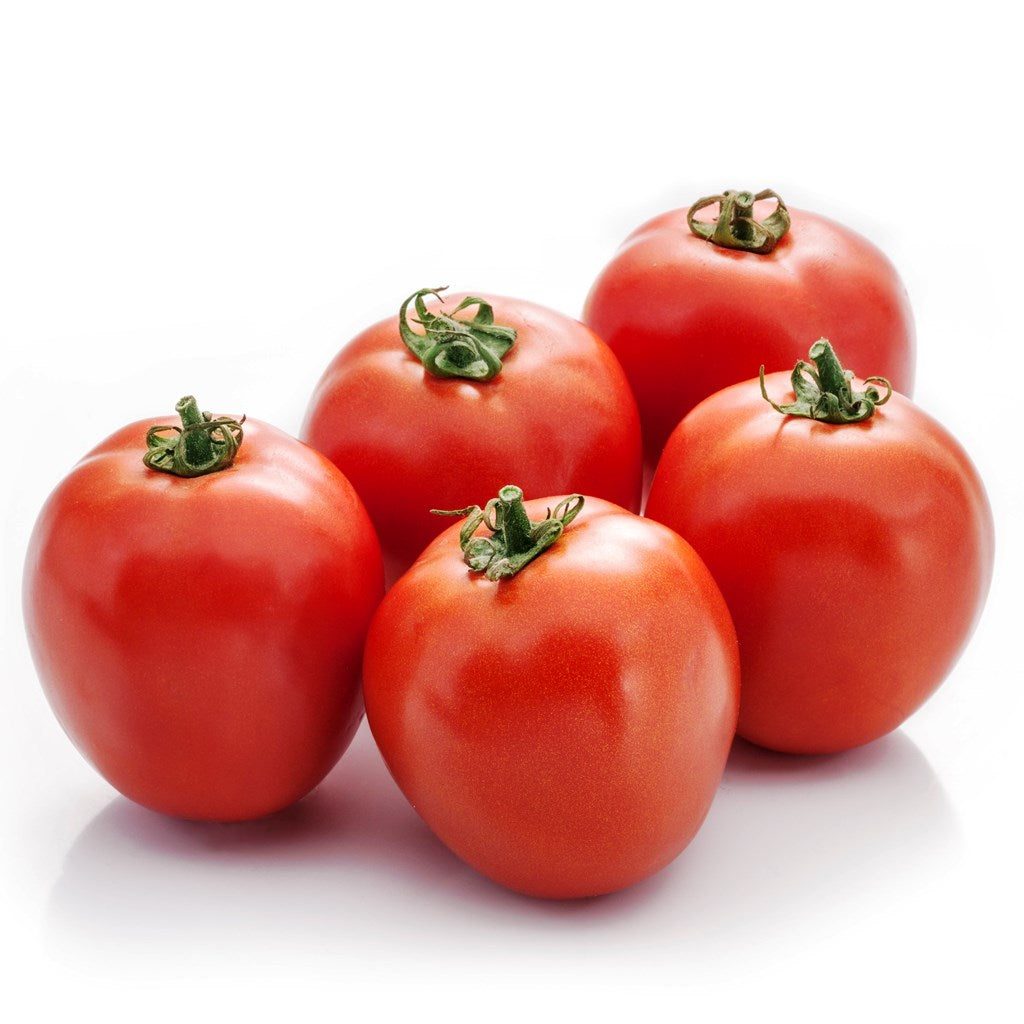 Tomato Indam 13201 [HY] - Monsoon Variety Vegetable Seeds