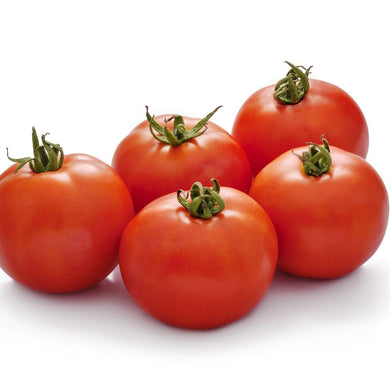 Tomato Indam 14301 [HY] Vegetable Seeds