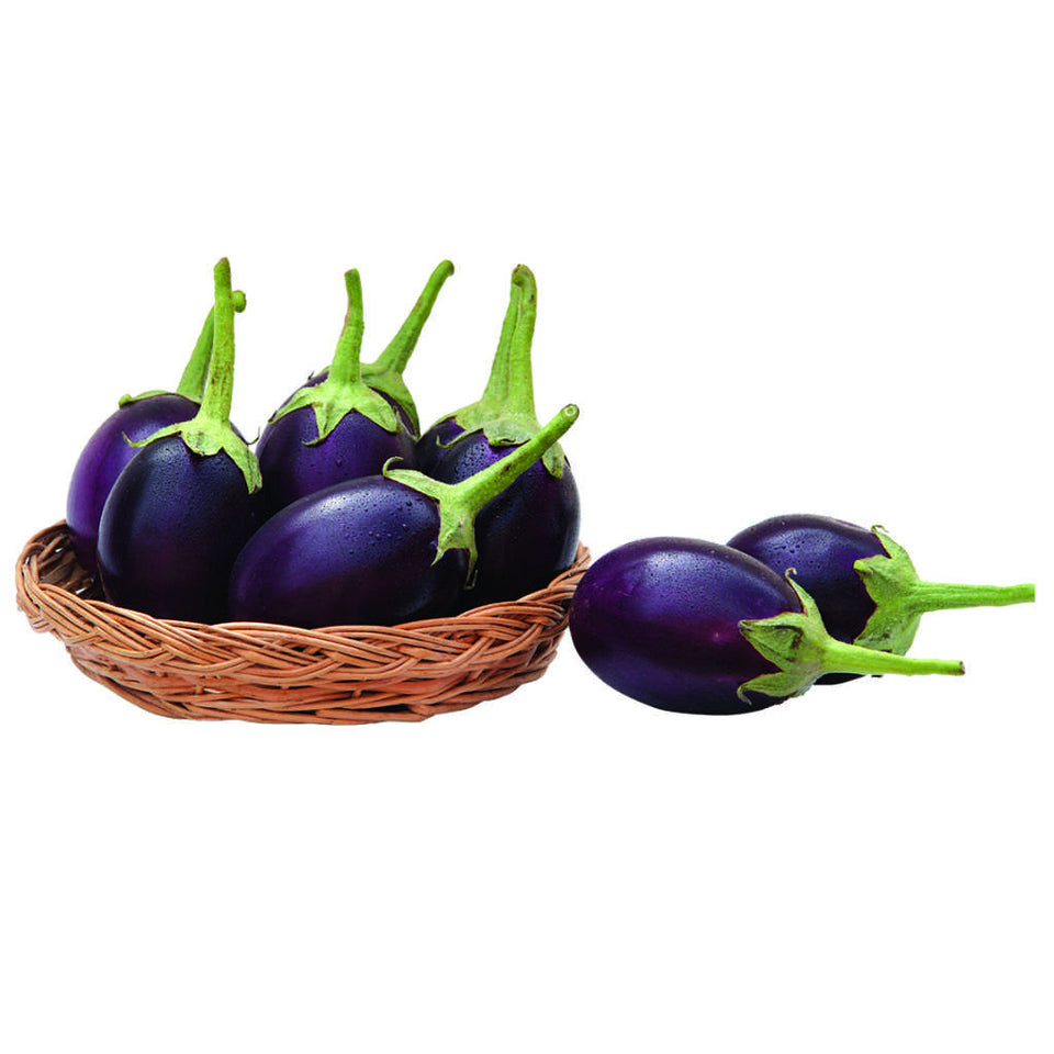 Brinjal Indam Jeeva [HY] Vegetable Seeds