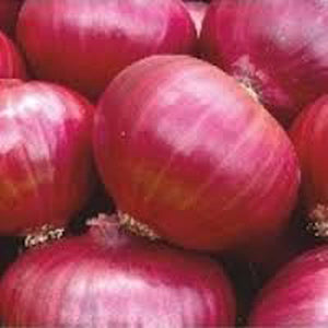 Onion - Pyaaj Vegetable Seeds