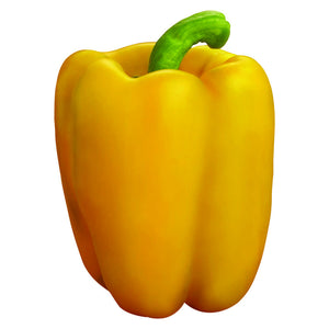 Capsicum Super Gold [HY] Vegetable Seeds