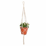 EVERGREENESS INDIA 8 inch Plastic Planter with Contemporary Hanger