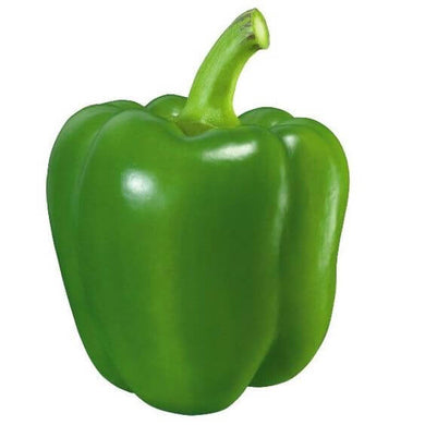 Premium Capsicum Green Imported Seeds 30-40 – High-Quality Seeds for Vibrant Growth