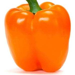 Premium Capsicum Orange Imported Seeds 30-40 – High-Quality Bulbs for Stunning Blooms