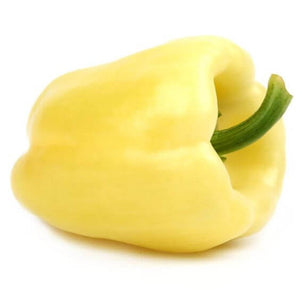 Premium Capsicum White Imported Seeds 30-40 – High-Quality Bulbs for Stunning Blooms
