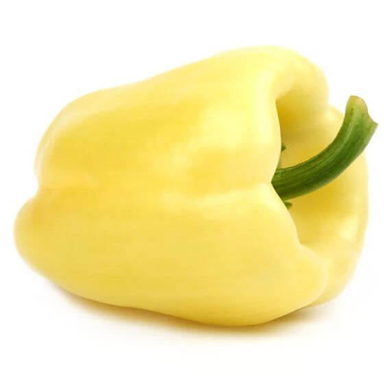 Premium Capsicum White Imported Seeds 30-40 – High-Quality Bulbs for Stunning Blooms