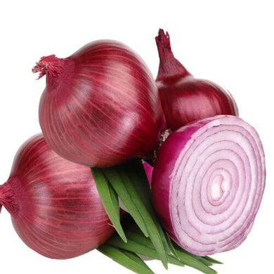 Premium Onion Red Vegetable Imported seeds 50-100 – High-Quality Seeds for Vibrant Growth