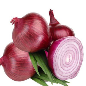 Premium Onion Red Vegetable Imported seeds 50-100 – High-Quality Seeds for Vibrant Growth