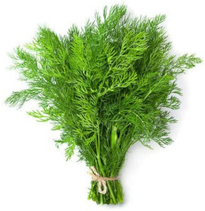 Premium Soya Saag Imported Vegetable seeds 50-100 – High-Quality Seeds for Vibrant Growth