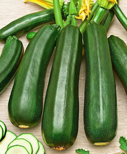 Premium Squash Green Vegetable Imported seeds 20-30 – High-Quality Bulbs for Stunning Blooms